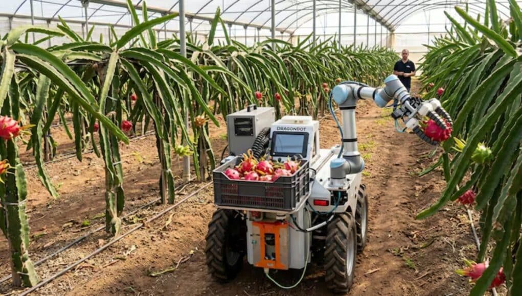 Dos Jóvenes Desafían a la Robótica Agrícola con una IA de Bajo Coste Dos Jóvenes Desafían a la Robótica Agrícola con una IA de Bajo Coste