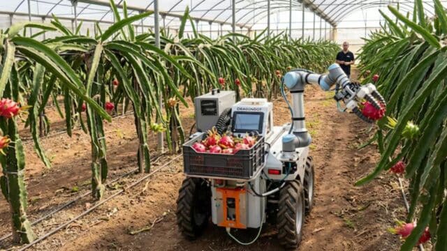 Dos Jóvenes Desafían a la Robótica Agrícola con una IA de Bajo Coste