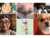 Meta Presenta Muse Image para Crear Imágenes con IA en WhatsApp e Instagram, y ya Hay Polémica Meta Presenta Muse Image para Crear Imágenes con IA en WhatsApp e Instagram, y ya Hay Polémica