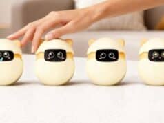 Gemini Flash y ChatGPT Dan Vida a Sweekar, la Mascota que Aprende de Su Dueño Gemini Flash y ChatGPT Dan Vida a Sweekar, la Mascota que Aprende de Su Dueño