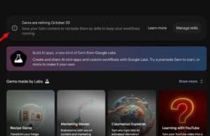 Google Podría Retirar Gems en Octubre y Obligar a Migrar a Skills de Pago Google Podría Retirar Gems en Octubre y Obligar a Migrar a Skills de Pago