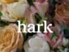Hark Handoff: el Agente de Navegador que Automatiza Tareas Web Hark Handoff: el Agente de Navegador que Automatiza Tareas Web