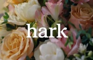 Hark Handoff: el Agente de Navegador que Automatiza Tareas Web Hark Handoff: el Agente de Navegador que Automatiza Tareas Web