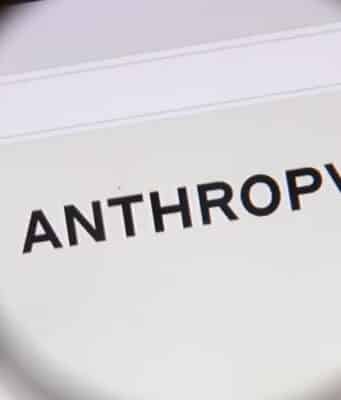 Escritores Denuncian que Empresas Intentan Cobrar Parte del Acuerdo de Anthropic sin Tener los Derechos