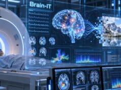 Brain-IT, la IA Que Reconstruye lo que Ves a Partir de tu Actividad Cerebral Brain-IT, la IA Que Reconstruye lo que Ves a Partir de tu Actividad Cerebral