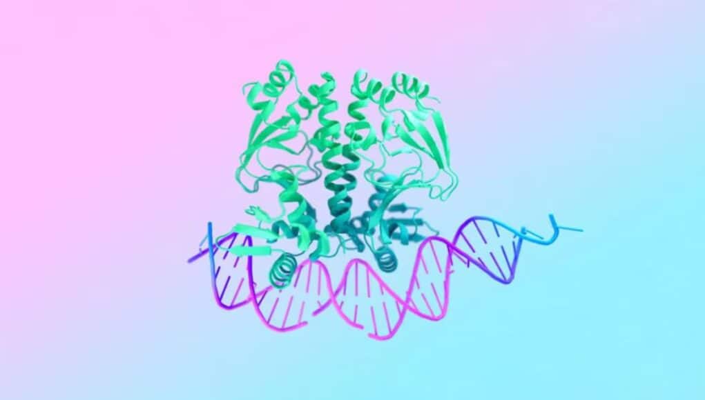 Google Lleva AlphaFold 3, WeatherNext y AlphaGenome a la Ciencia Europea en RAISE Google Lleva AlphaFold 3, WeatherNext y AlphaGenome a la Ciencia Europea en RAISE