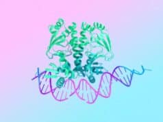 Google Lleva AlphaFold 3, WeatherNext y AlphaGenome a la Ciencia Europea en RAISE Google Lleva AlphaFold 3, WeatherNext y AlphaGenome a la Ciencia Europea en RAISE