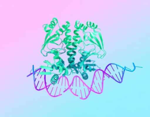 Google Lleva AlphaFold 3, WeatherNext y AlphaGenome a la Ciencia Europea en RAISE Google Lleva AlphaFold 3, WeatherNext y AlphaGenome a la Ciencia Europea en RAISE