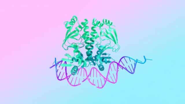 Google Lleva AlphaFold 3, WeatherNext y AlphaGenome a la Ciencia Europea en RAISE Google Lleva AlphaFold 3, WeatherNext y AlphaGenome a la Ciencia Europea en RAISE