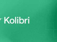 Kolibri de Aleph Alpha: Modelo Abierto con 1 Millón de Tokens de Contexto