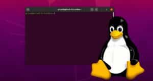 Ubuntu 26.10 Integra Myna, su Nuevo Asistente de IA Local y Privado