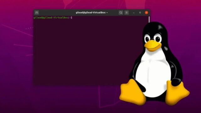Ubuntu 26.10 Integra Myna, su Nuevo Asistente de IA Local y Privado Ubuntu 26.10 Integra Myna, su Nuevo Asistente de IA Local y Privado